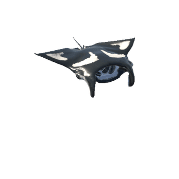 Manta Stingray_Swim_anim